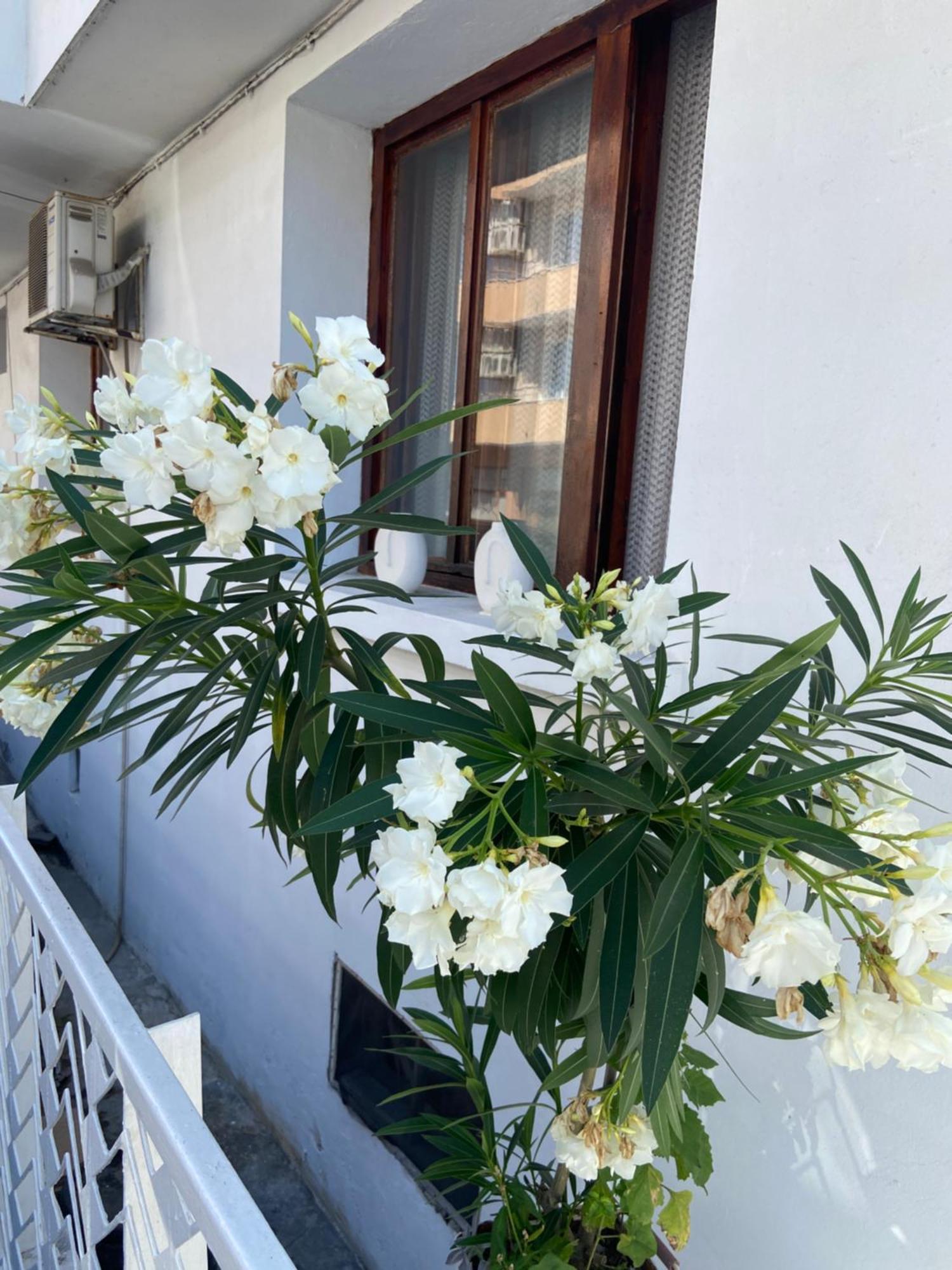 Guest House Hei Taka Sozopol Exterior photo